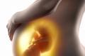 هنگامی که کودک شروع به فشار دادن به شکم می کند: رشد بارداری، زمان حرکت جنین، سه ماهه، اهمیت تاریخ، هنجار، تاخیر و مشاوره با متخصص زنان